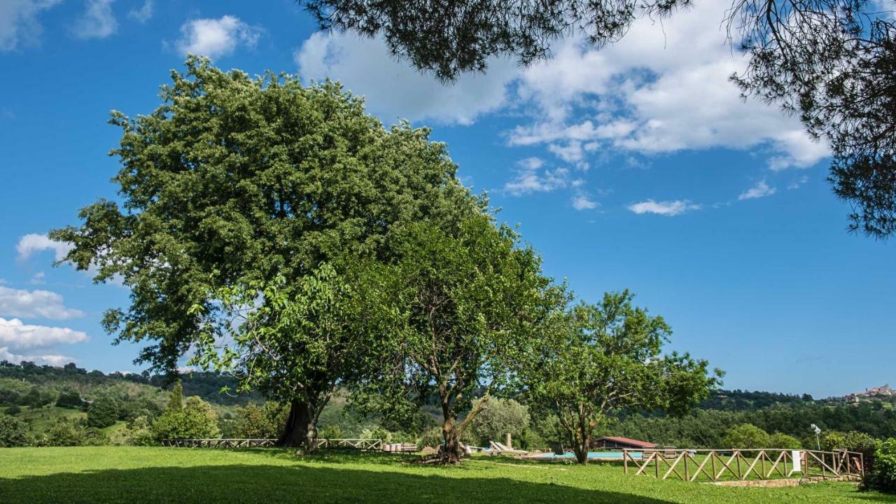 Agriturismo Bio Le Macchie Alte Manciano Ngoại thất bức ảnh